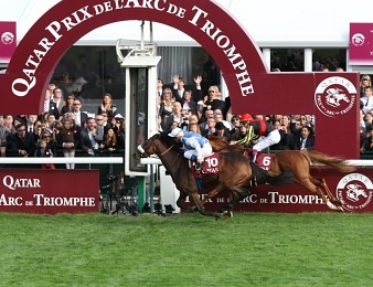 Solemia s'impose dans le Prix de l'Arc de Triomphe 2012