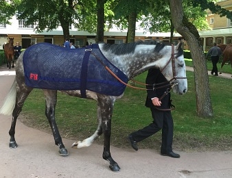 Solow est le meilleur miler du monde