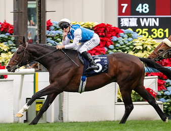 Sosie sacré à Hong Kong