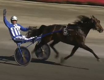 Stoletheshow remporte le Prix d'Oslo 2022.