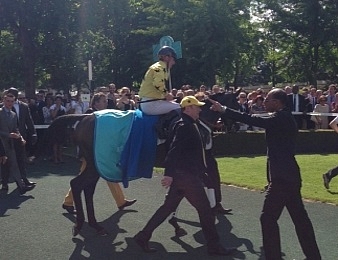 Storm of Saintly a remporté le Grand Steeple-Chase de Paris à 5 ans