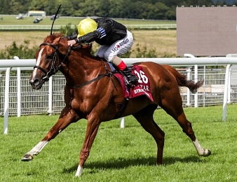 Stradivarius à enlevé la Lonsdale Cup ce vendredi 24 à York