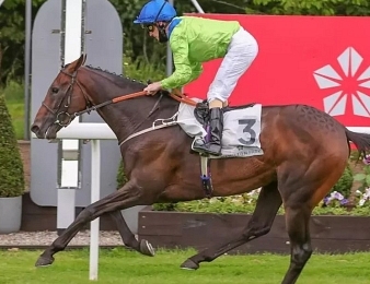 Subjectivist remporte le Prix Royal-Oak ce dimanche 25 octobre à ParisLongchamp.
