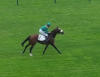 Taniyar s'impose brillamment