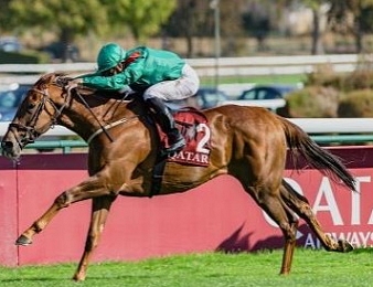 Tarnawa sera l'une des favorite du l'Arc ce dimanche 3 octobre à ParisLongchamp.