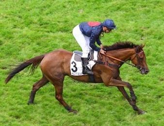 Tatiana Puitg met un terme à sa carrière (entraîneur Victoria Dreams)