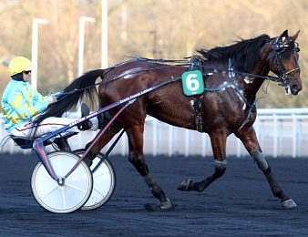 Tchao de Loiron renoue avec le succès