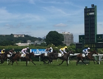 Terrakova rentre victorieusement dans le Prix Cléopatre (Gr.3)