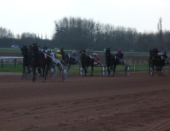 Texas Charm a dominé les Ducs de Normandie