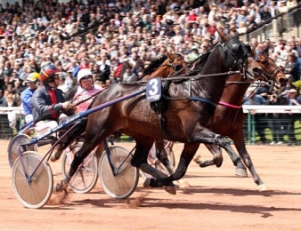 Texas Charm et Julien Dubois ont été suspendus suite au Prix de Buenos Aires