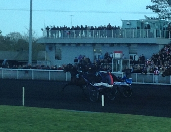Texas Charm et Timoko ne s'affronteront donc pas dans le Prix de Bourgogne