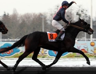 Texas Charm, lauréat du Prix de Vincennes 2010