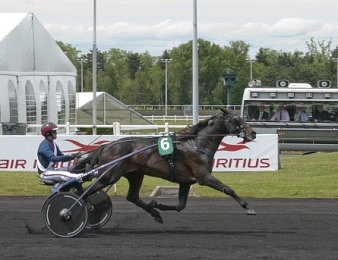 Texas Charm lors du Prix René Ballière 2013