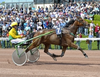 Texas de l'Iton était un champion dans la discipline du trot monté