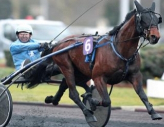The Best Madrik remporte le Critérium des 5 ans