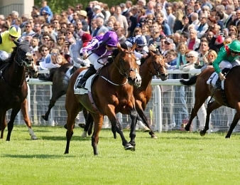The Gurkha, vainqueur de l'édition 2016