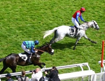 Thousand Stars a remporté deux fois la Grande Course de Haies d'Auteuil