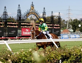 Tibérian disputera la Melbourne Cup ce mardi 7 novembre à Flemington