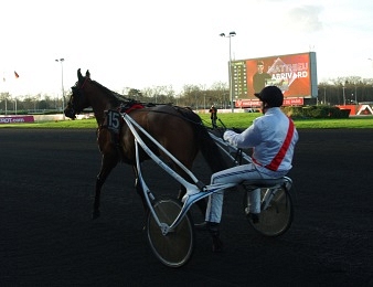 Tiégo d'Etang participera à son 5ème Prix d'Amérique