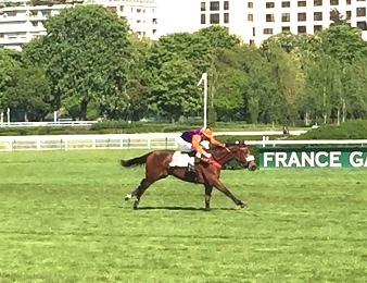Tiesto d'Authie vole la vedette à Bonito du Berlais