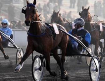 Timoko