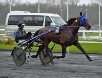 Timoko en lice pour battre le record de gains de Ready Cash