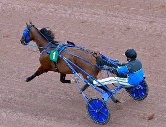 Timoko est invaincu en six courses à Cagnes-sur-Mer