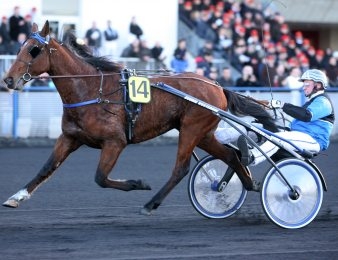 Timoko est le meilleur 4 ans français