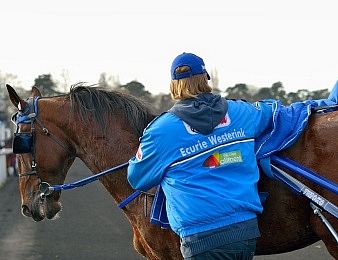 Timoko est le roi de Cagnes-sur-Mer
