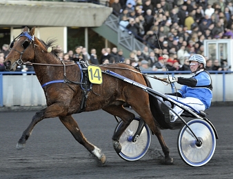 Timoko est le tenant du titre