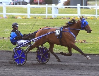 Timoko fait sa rentrée à l'approche du meeting d'hiver de Vincennes