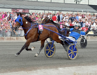 Timoko lors de l'Elitloppet 2017
