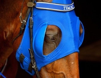 Timoko ne manque pas ses adieux à la France