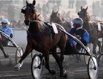 Timoko remporte le Critérium de vitesse de Cagnes-sur-Mer