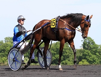Timoko s'est offert un septième succès classique