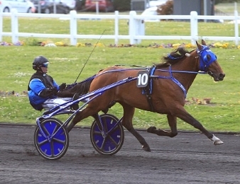 Timoko s'impose dans le 39e Grand Prix du Sud-Ouest sur tapis vert
