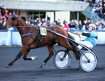 Timoko s'impose de bout en bout