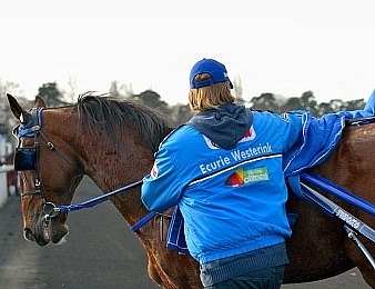 Timoko sera au départ du Kymi Grand Prix ce samedi 18 juin en Finlande