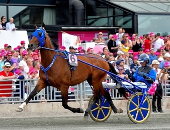 Timoko sera au départ du Prix de Washington ce samedi 1 juillet à Enghien