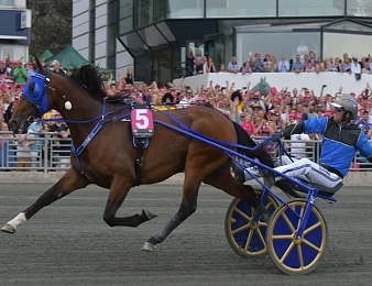 Timoko tire sa révérence à 10 ans