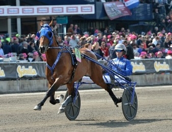 Timoko triomphe pour la deuxième fois dans l'Elitloppet