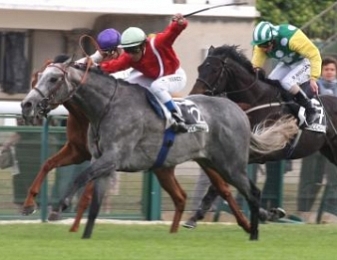 Tin Horse lors de la Poule d'Essai des Poulains 2011