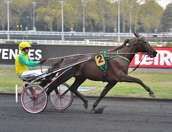 Tony Gio s'offre le Prix Chambon P ce samedi 8 juin à Vincennes
