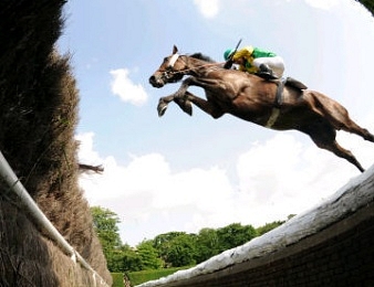 Totem Flow a victorieusement vaincu les gros d'Auteuil