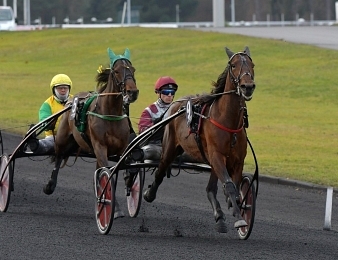 Traders débute au trot monté ce dimanche 17 septembre à Vincennes