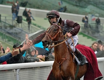 Traders sera en piste au monté ce lundi 19 novembre à Vincennes