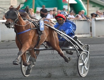 Treize concurrents prendront part au Critérium des 3 ans ce dimanche à Vincennes