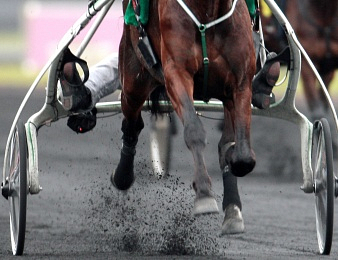 Treize cracks sont engagés dans le Prix de Franc Eqwin