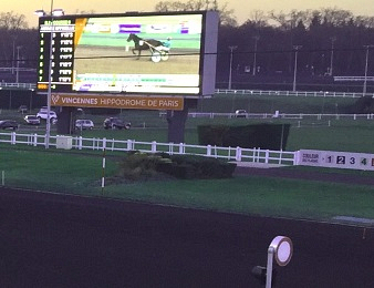 Treize juments prennent part au Quinté+ du jour