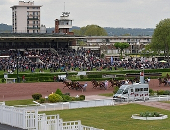 Treize trotteurs prennent part au Tiercé, Quarté, Quinté plus PMU du jour
